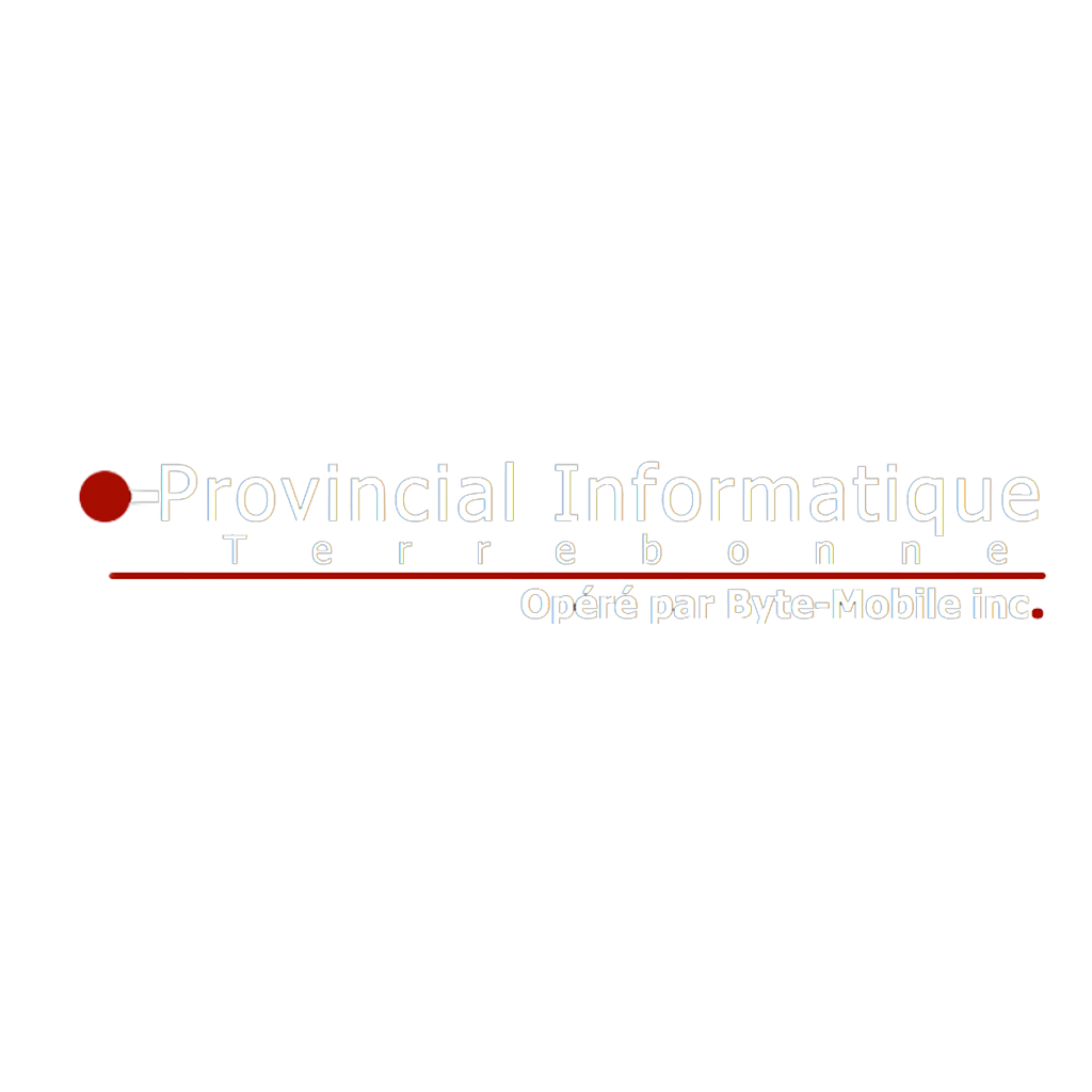 Provincial Informatique, logo