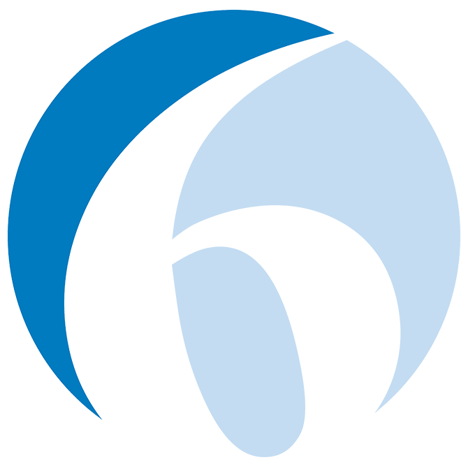 Synop6, logo